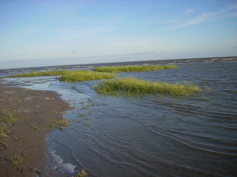 Training in Estonia 6/2007